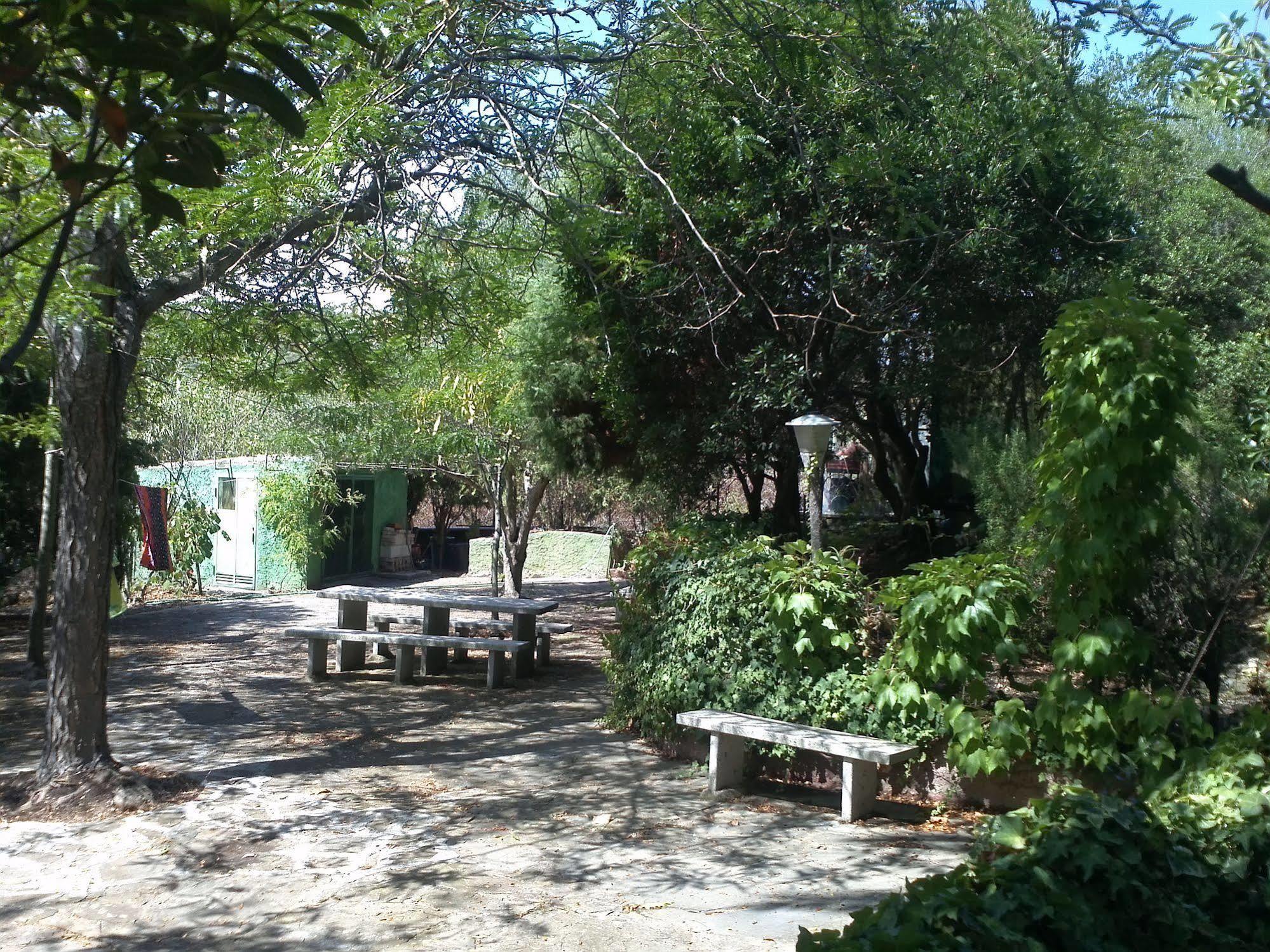 אולביה Hotel Abbaruja מראה חיצוני תמונה