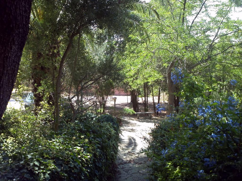 אולביה Hotel Abbaruja מראה חיצוני תמונה